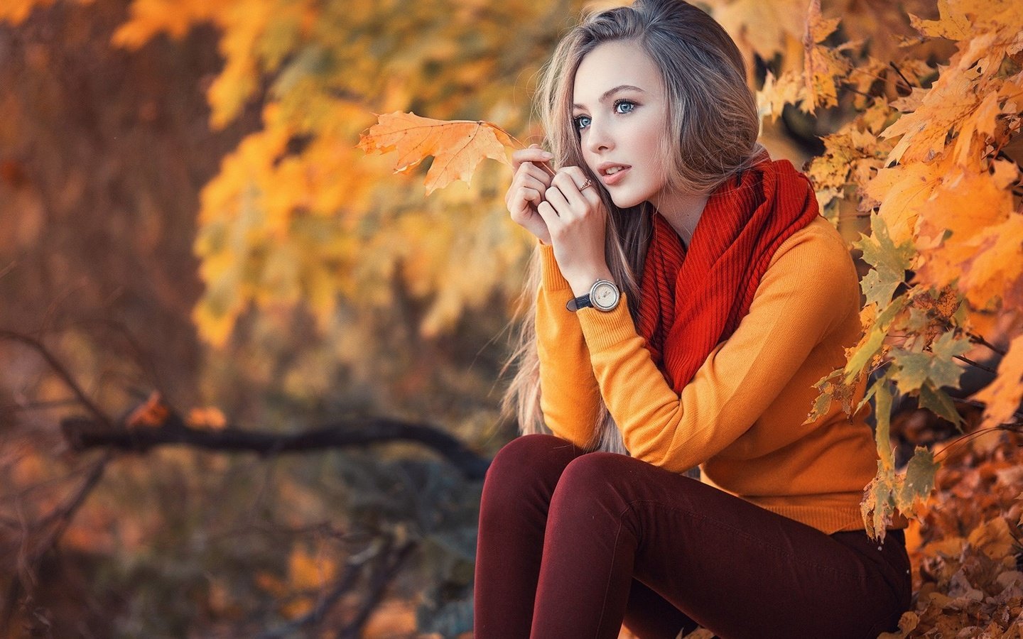 Обои листья, девушка, взгляд, осень, длинные волосы, русая, leaves, girl, look, autumn, long hair, rus разрешение 1920x1280 Загрузить