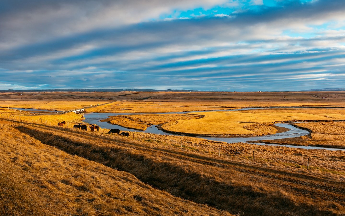 Обои небо, пасутся, трава, облака, река, лошади, кони, пастбище, степь, the sky, grazing, grass, clouds, river, horse, horses, pasture, the steppe разрешение 2688x1920 Загрузить