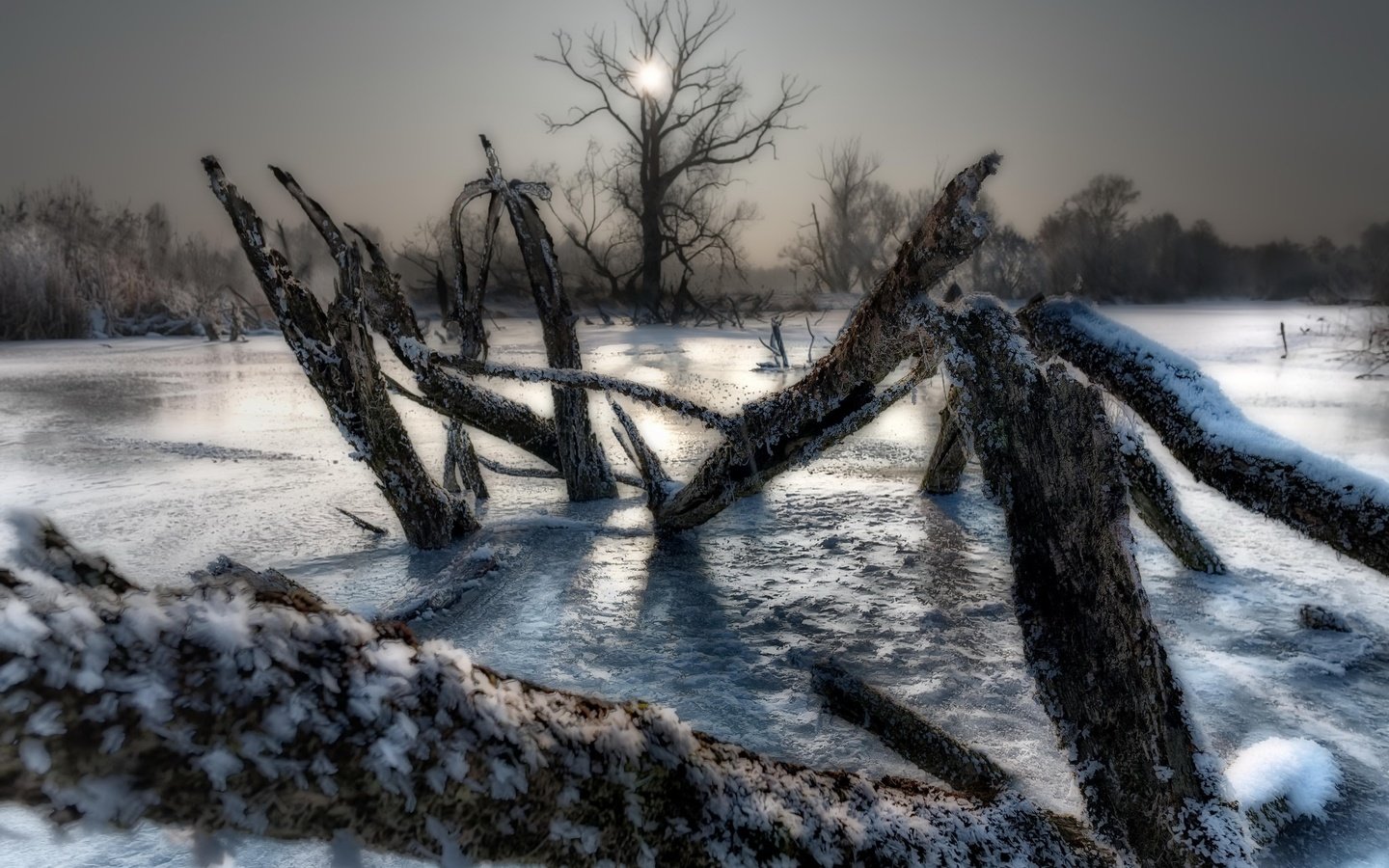 Обои деревья, озеро, зима, лёд, холод, trees, lake, winter, ice, cold разрешение 2048x1372 Загрузить