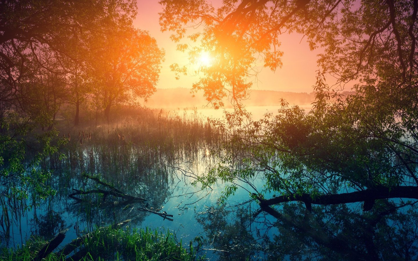 Обои река, солнце, природа, лес, отражение, пейзаж, туман, рассвет, river, the sun, nature, forest, reflection, landscape, fog, dawn разрешение 2880x1800 Загрузить