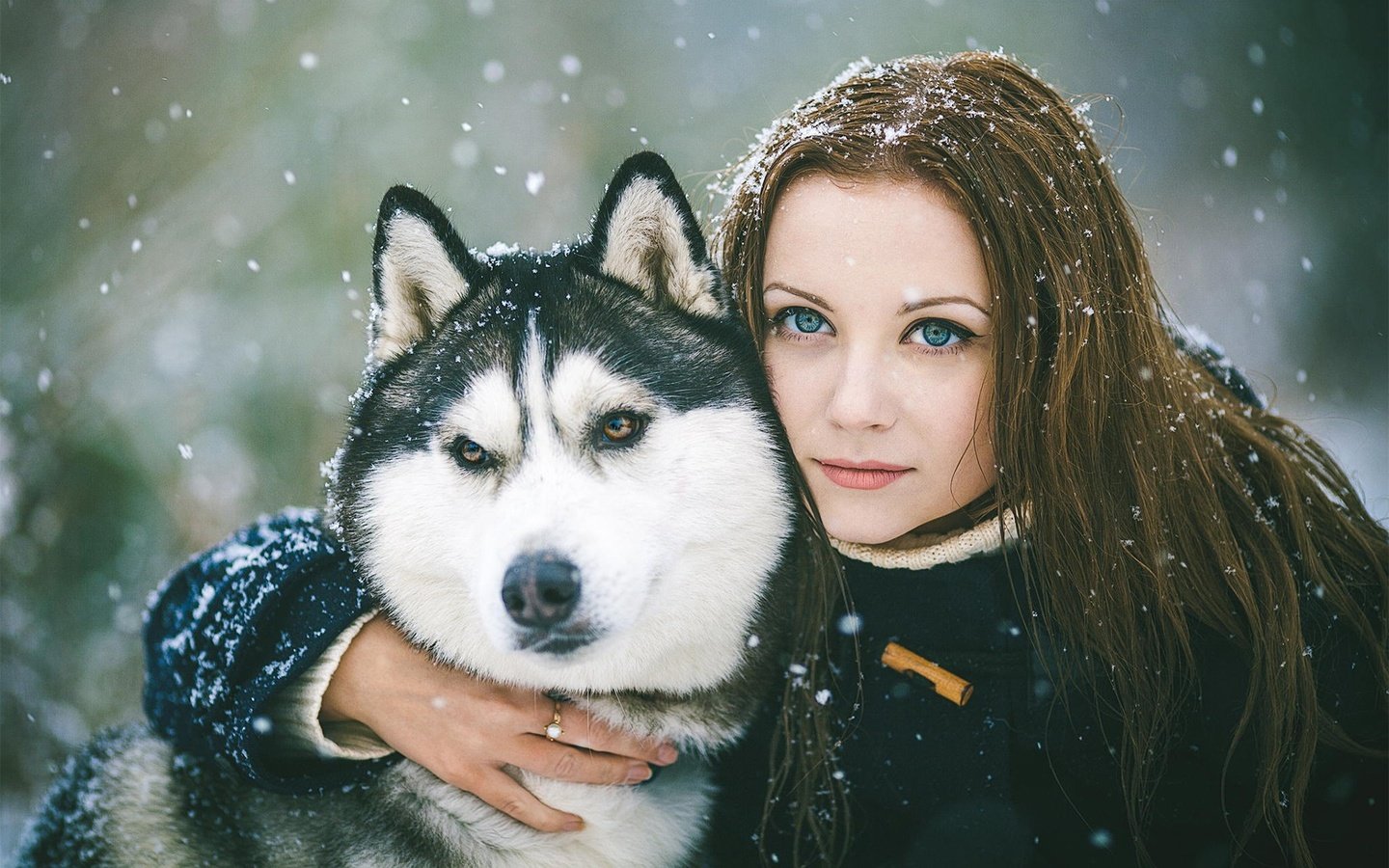 Обои снег, сибирский хаски, девушка, портрет, взгляд, собака, волосы, лицо, хаски, snow, siberian husky, girl, portrait, look, dog, hair, face, husky разрешение 1920x1200 Загрузить