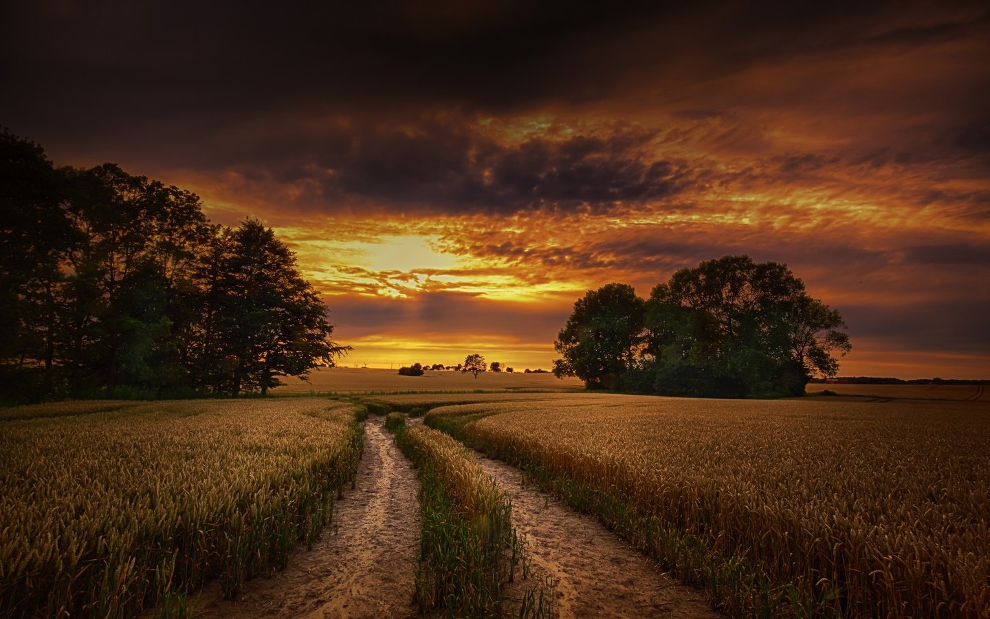 Обои небо, дорога, облака, деревья, природа, закат, поле, горизонт, the sky, road, clouds, trees, nature, sunset, field, horizon разрешение 2048x1364 Загрузить