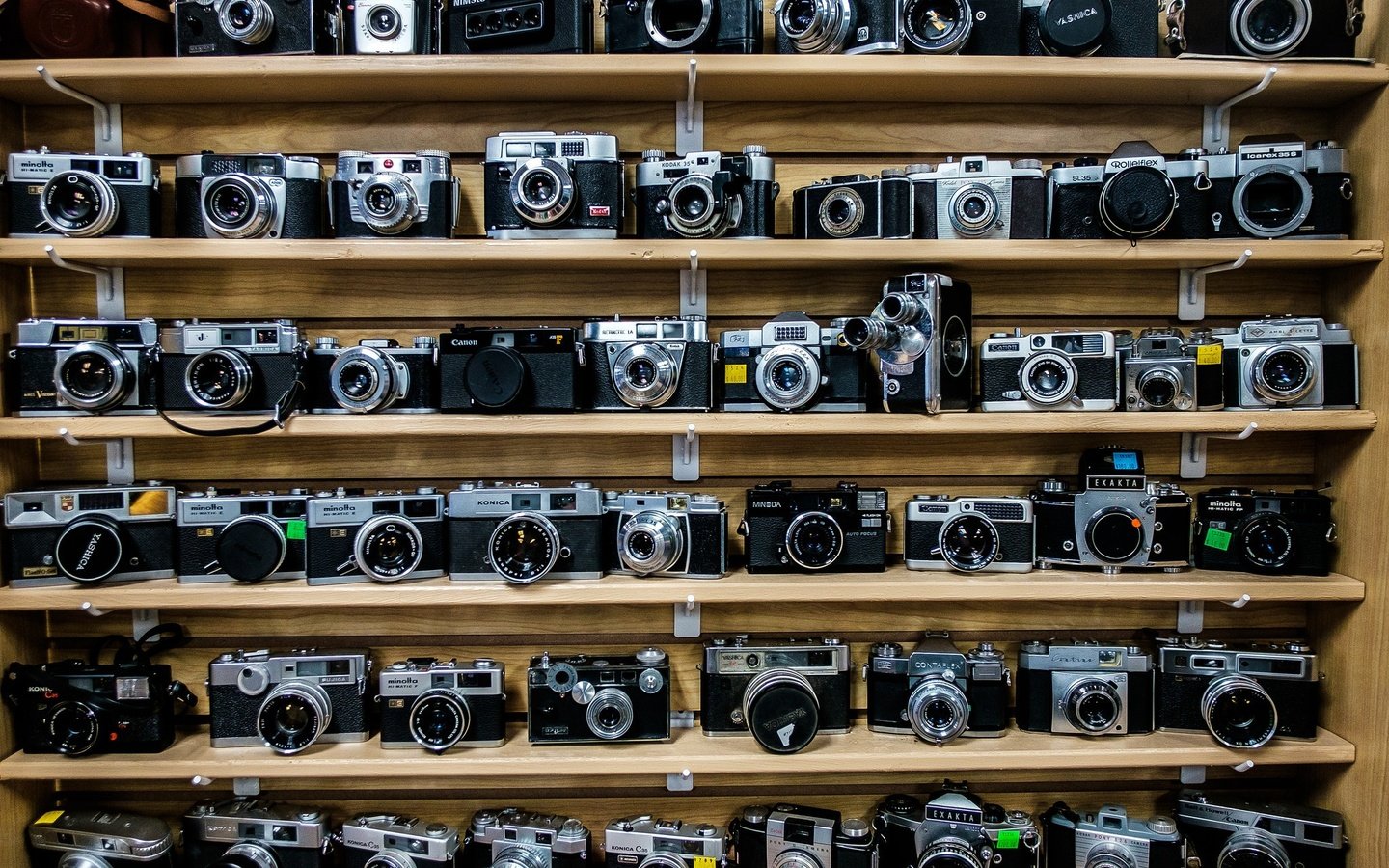 Обои фотоаппарат, много, коллекция, полки, фотоаппараты, the camera, a lot, collection, shelves, cameras разрешение 2048x1365 Загрузить