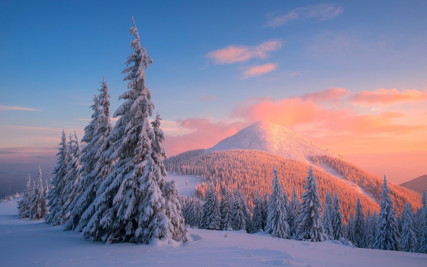 Обои деревья, горы, снег, закат, зима, сосны, карпаты, trees, mountains, snow, sunset, winter, pine, carpathians разрешение 4000x2670 Загрузить