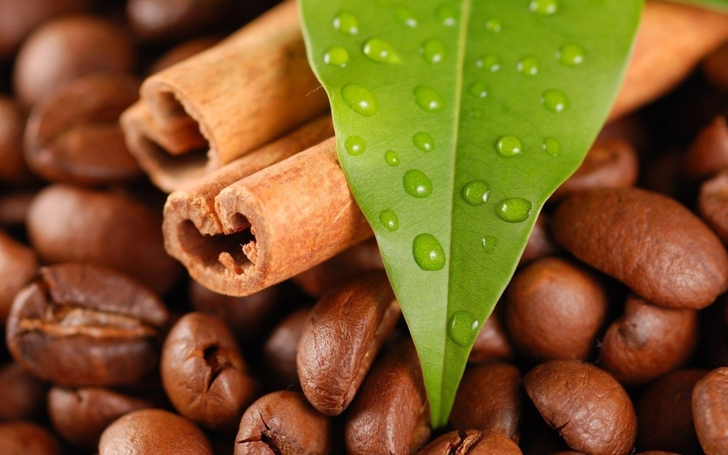 Обои капли, корица, кофе, листик, кофейные зерна, drops, cinnamon, coffee, leaf, coffee beans разрешение 1920x1080 Загрузить