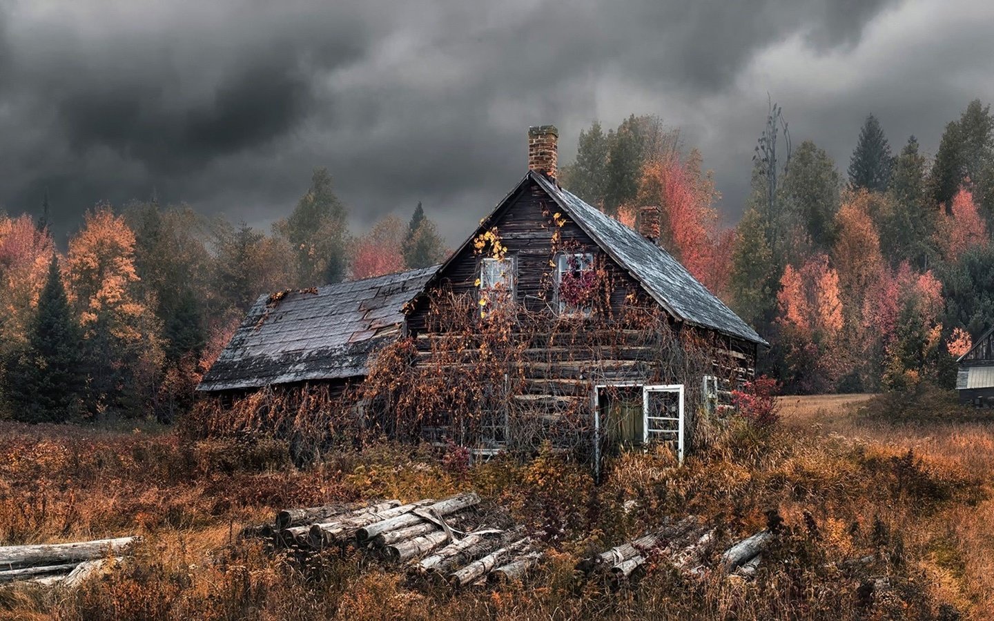 Обои деревья, лес, тучи, осень, дом, бревна, изба, заброшенный, trees, forest, clouds, autumn, house, logs, hut, abandoned разрешение 1920x1080 Загрузить