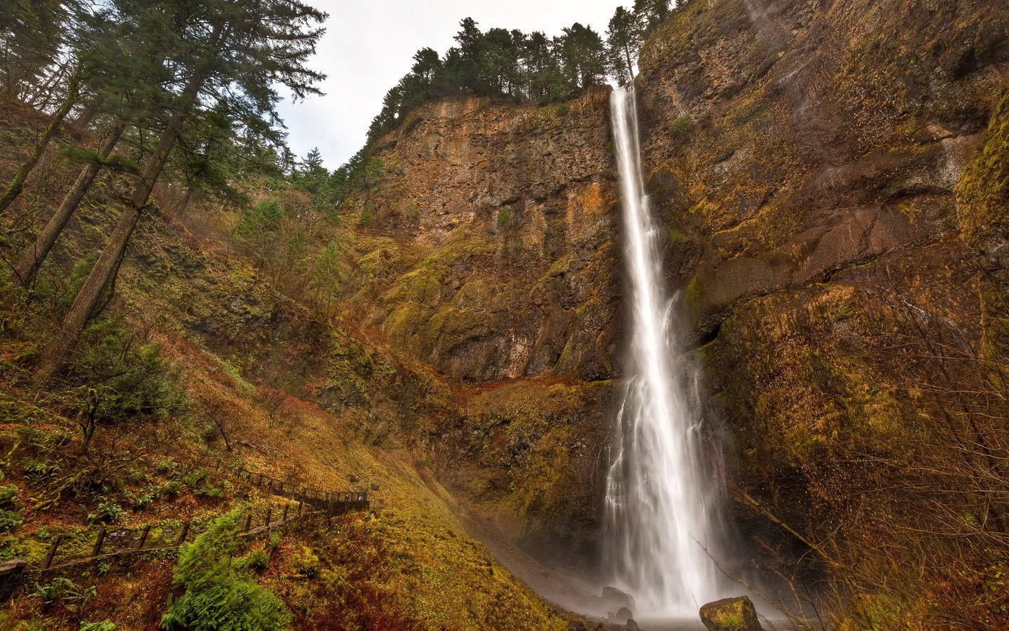 Обои деревья, скалы, водопад, сша, орегон, multnomah falls, водопад мультномах, trees, rocks, waterfall, usa, oregon разрешение 4077x2713 Загрузить