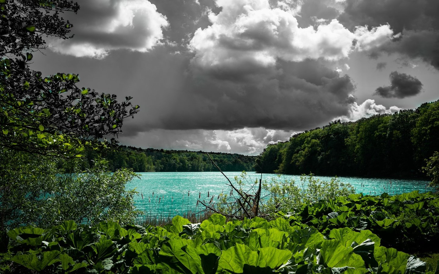 Обои облака, деревья, вода, озеро, растения, clouds, trees, water, lake, plants разрешение 2048x1194 Загрузить