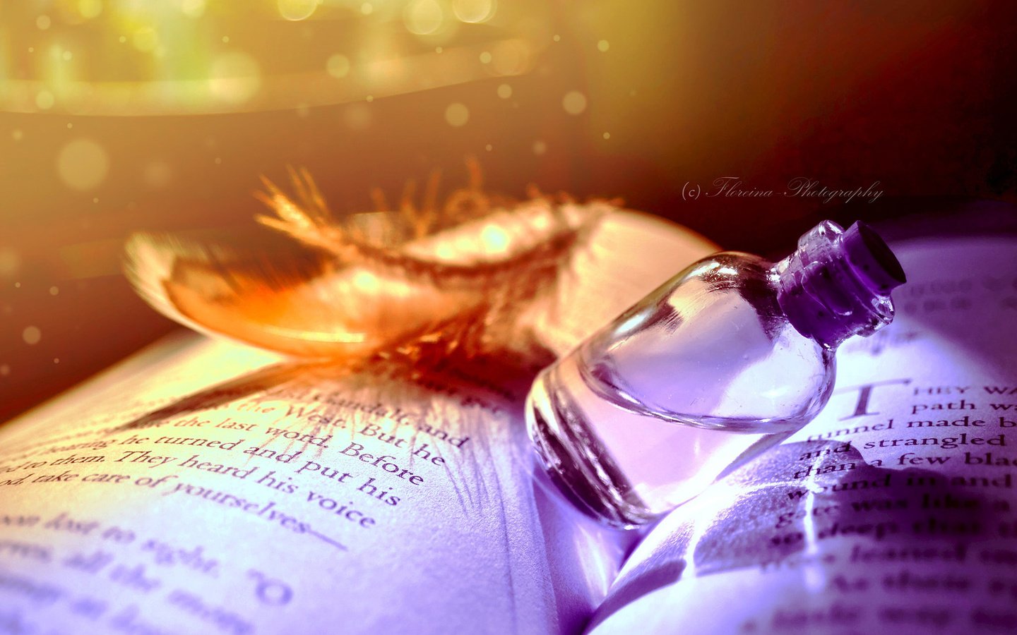 Обои книга, бутылочка, флакон, перышко, эликсир, book, bottle, a feather, elixir разрешение 1920x1200 Загрузить