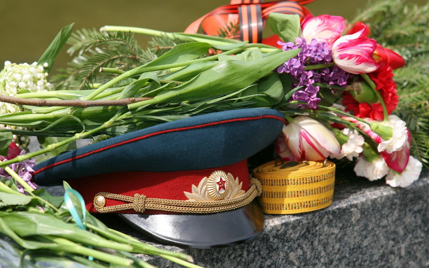 Обои цветы, день победы, фуражка, flowers, victory day, cap разрешение 2560x1600 Загрузить