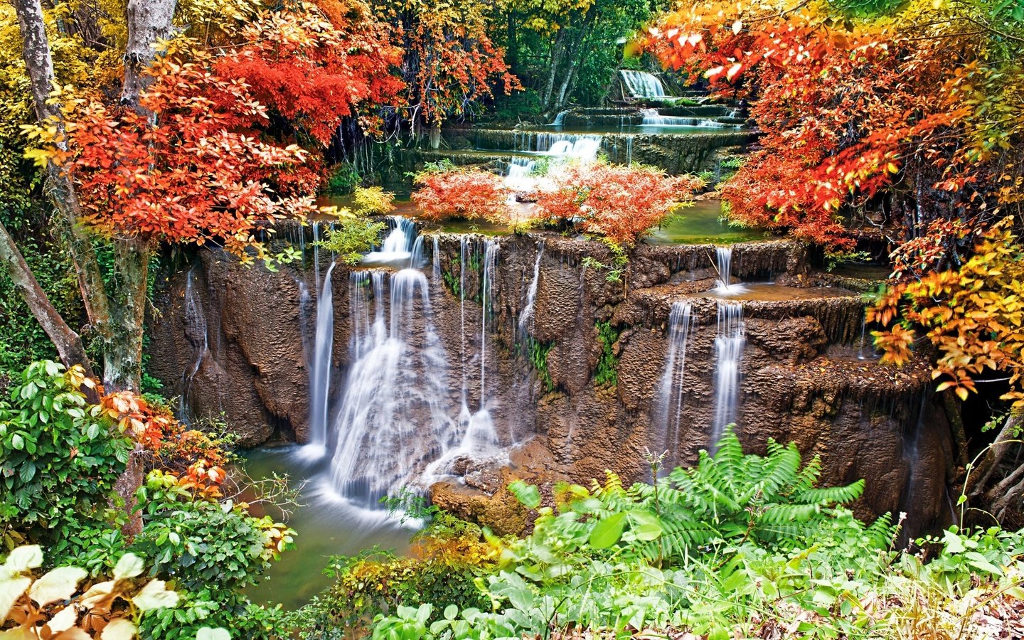 Обои деревья, вода, камни, листья, водопад, осень, мох, trees, water, stones, leaves, waterfall, autumn, moss разрешение 2560x1600 Загрузить