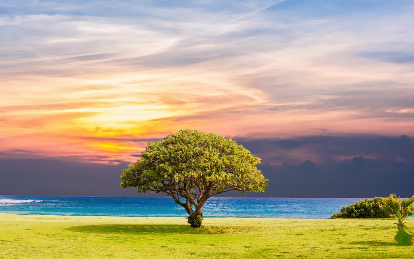 Обои природа, дерево, закат, пейзаж, море, горизонт,     дерево, nature, tree, sunset, landscape, sea, horizon разрешение 5232x3744 Загрузить