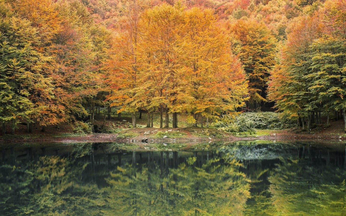 Обои река, природа, лес, отражение, осень, river, nature, forest, reflection, autumn разрешение 1920x1200 Загрузить