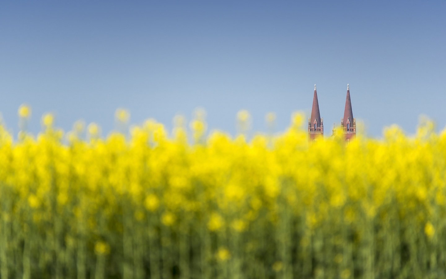 Обои цветы, природа, башни, хорватия, дьяково, flowers, nature, tower, croatia, djakovo разрешение 1920x1200 Загрузить