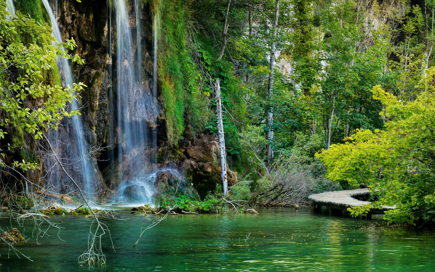 Обои озеро, скалы, камни, лес, водопад, хорватия, мостки, plitvice lakes national park, lake, rocks, stones, forest, waterfall, croatia, bridges разрешение 3140x1860 Загрузить