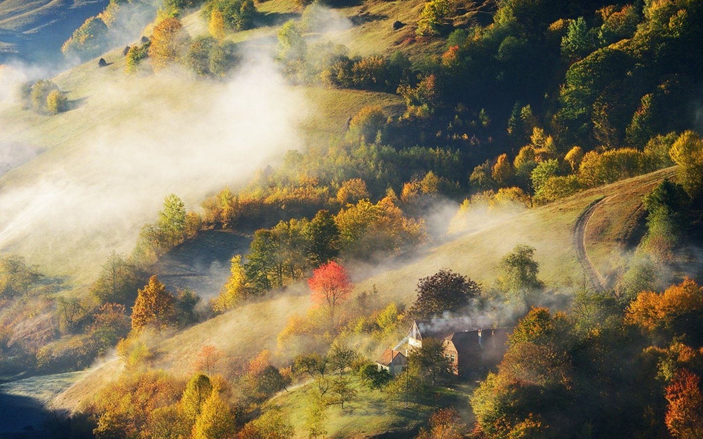 Обои дорога, деревья, холмы, лес, туман, осень, дома, stefan chirobocea, road, trees, hills, forest, fog, autumn, home разрешение 1920x1280 Загрузить