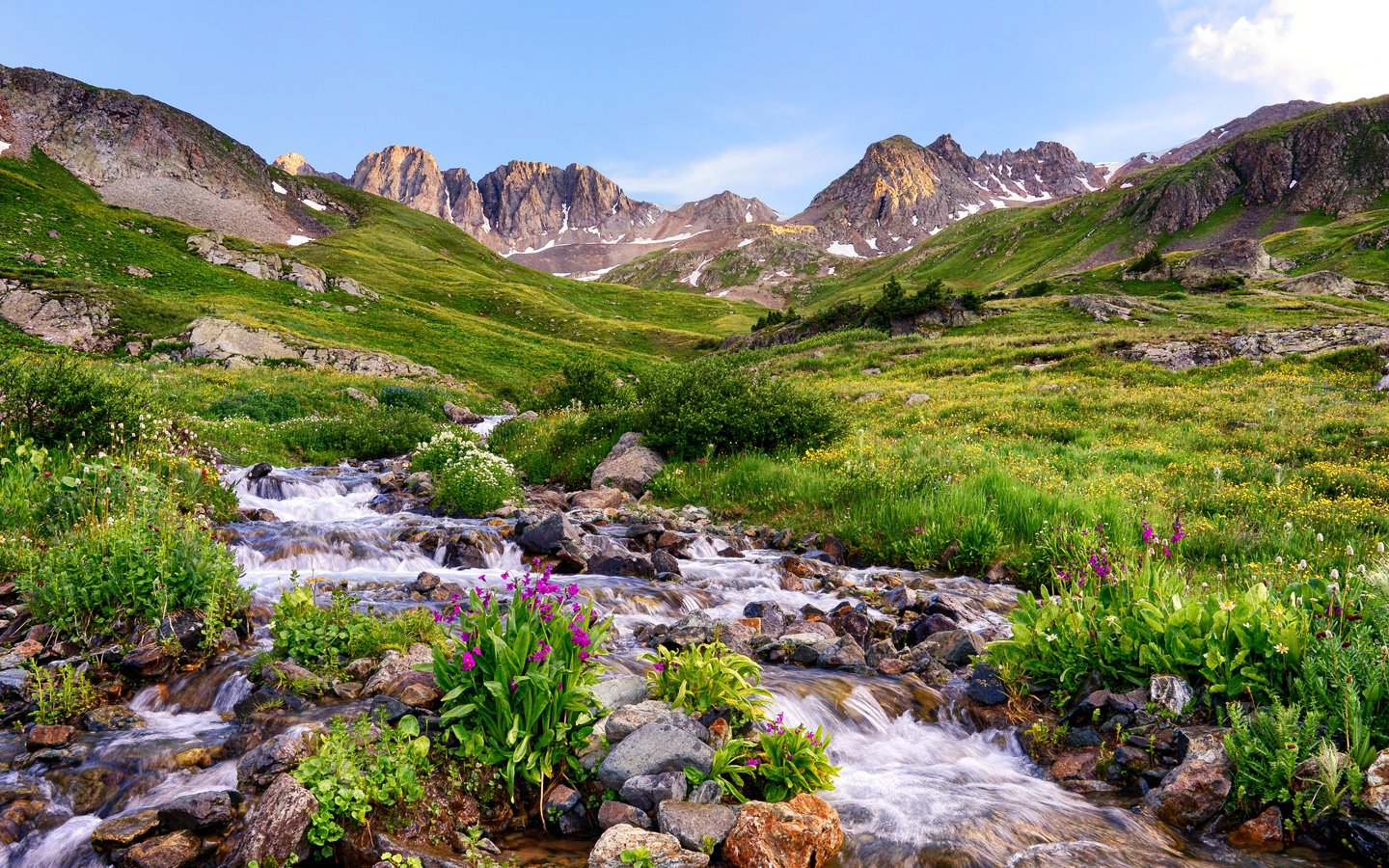 Обои цветы, трава, горы, камни, ручей, сша, долина, колорадо, flowers, grass, mountains, stones, stream, usa, valley, colorado разрешение 4850x2750 Загрузить