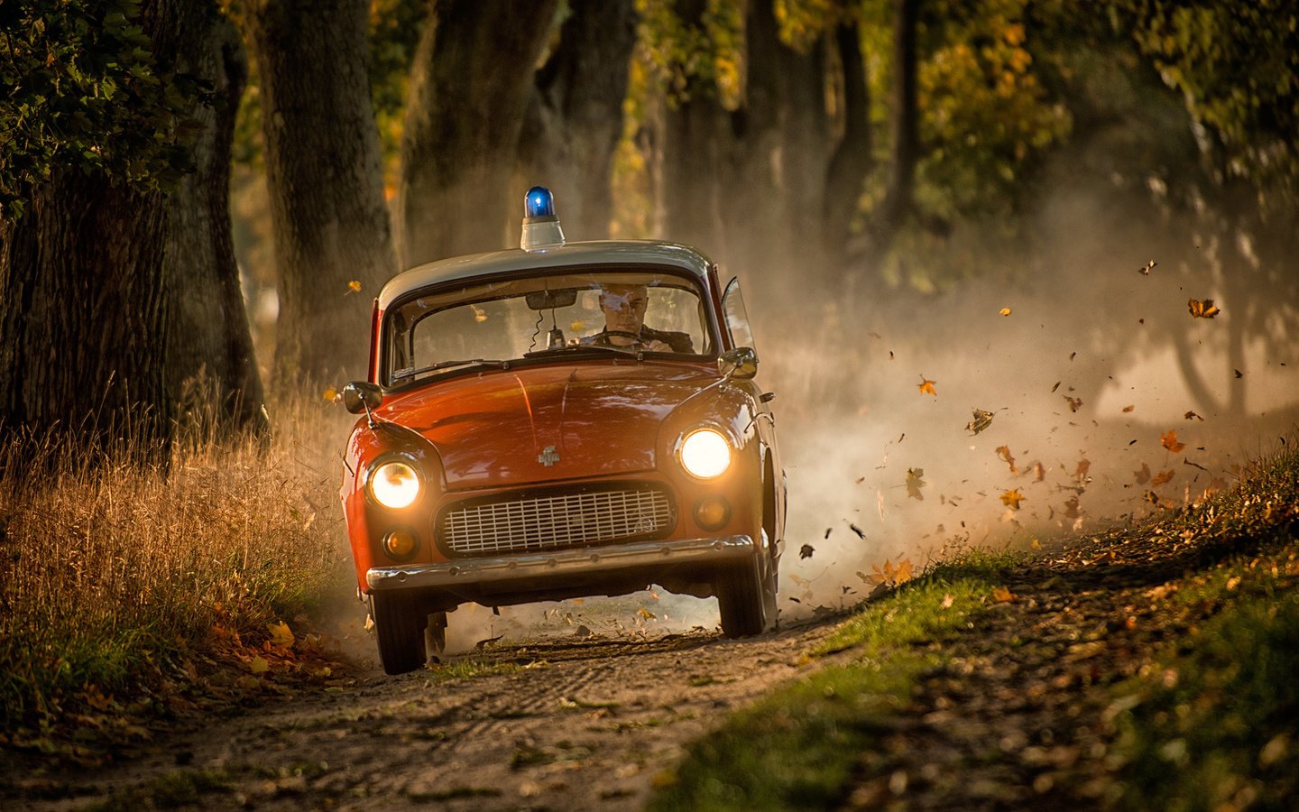 Обои дорога, осень, полиция, автомобиль, сирена, road, autumn, police, car, siren разрешение 2222x1483 Загрузить