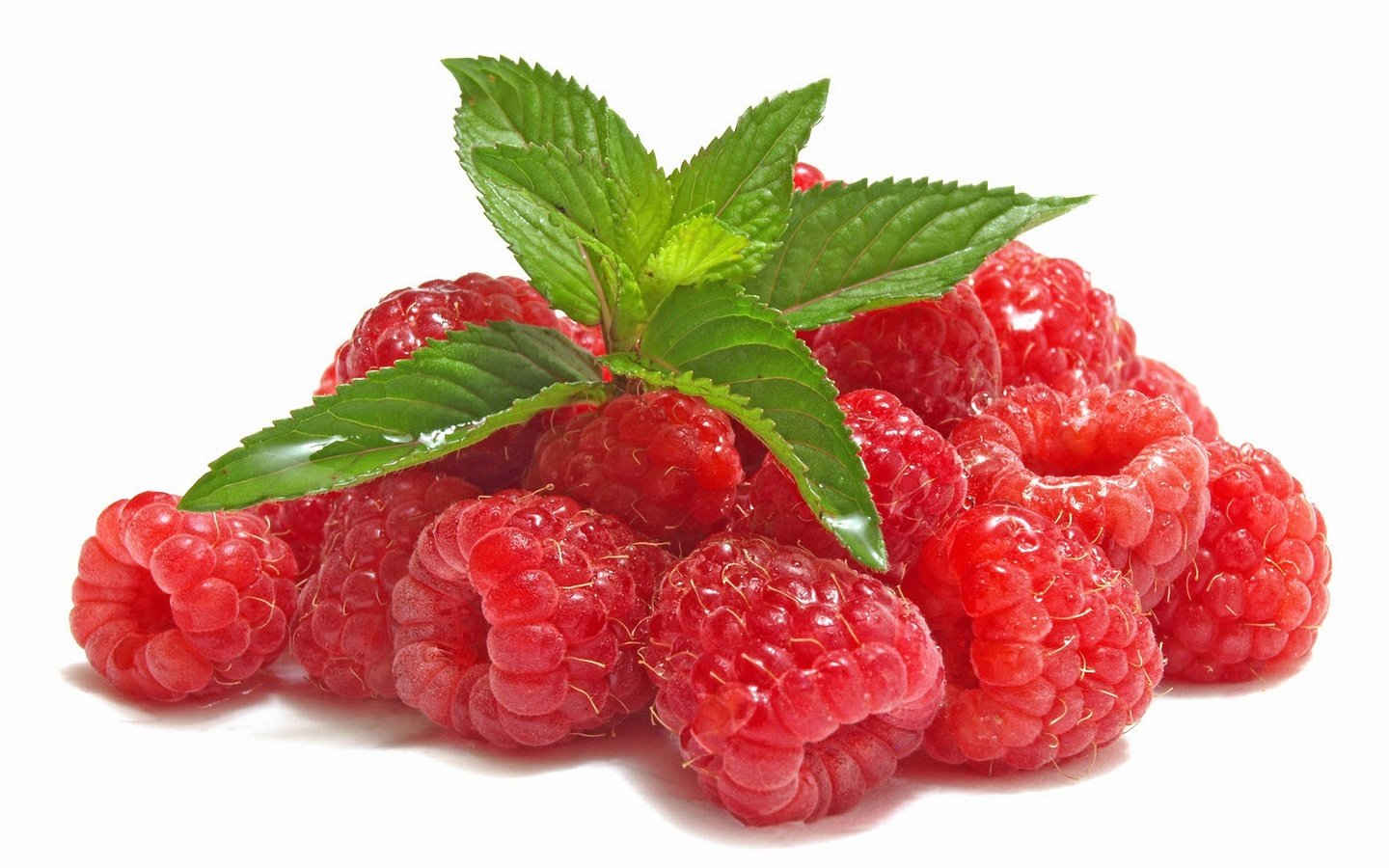 Обои листья, малина, ягода, белый фон, leaves, raspberry, berry, white background разрешение 5584x3536 Загрузить