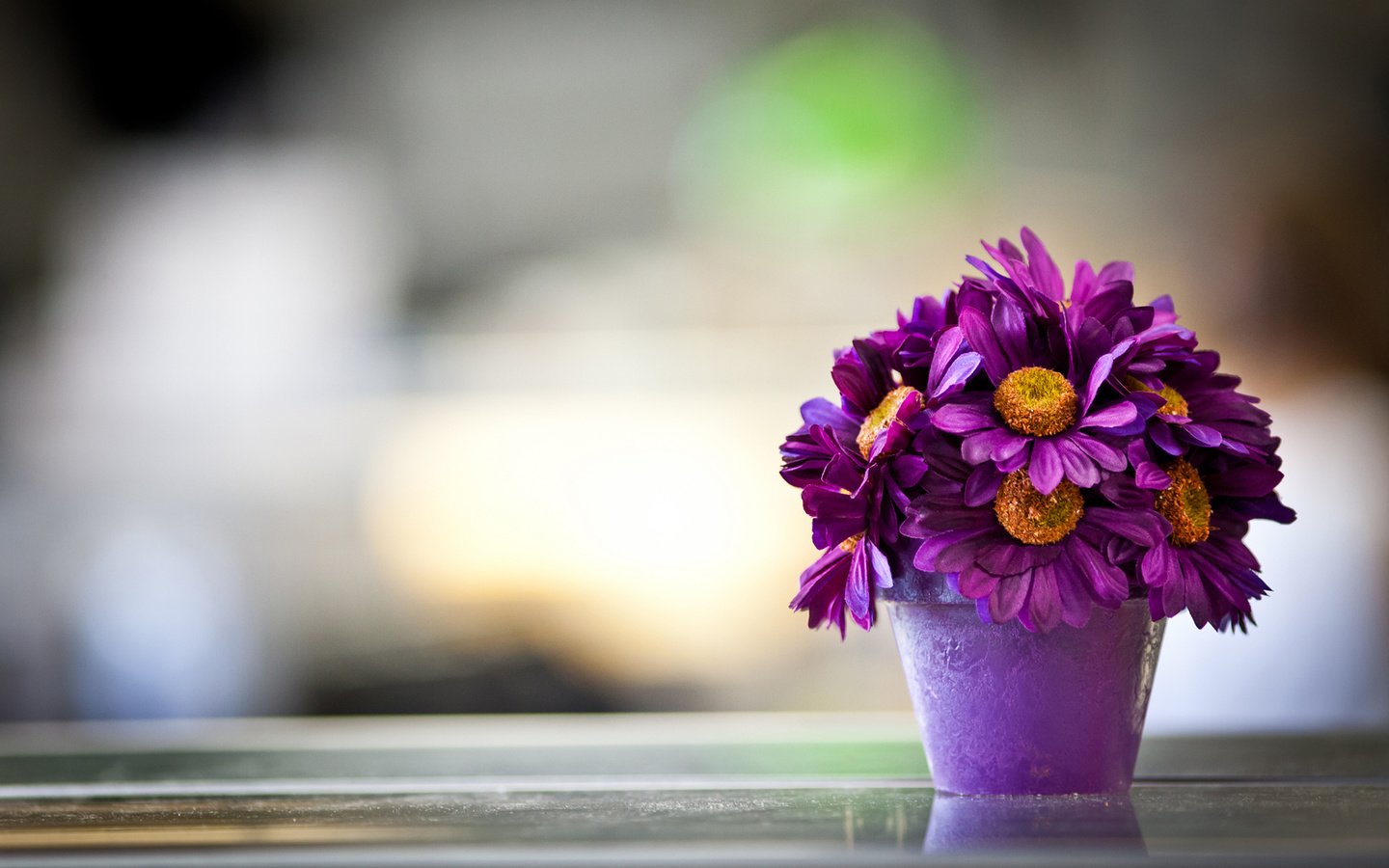 Обои цветы, лепестки, букет, фиолетовые, горшок, маргаритки, flowers, petals, bouquet, purple, pot, daisy разрешение 1920x1200 Загрузить