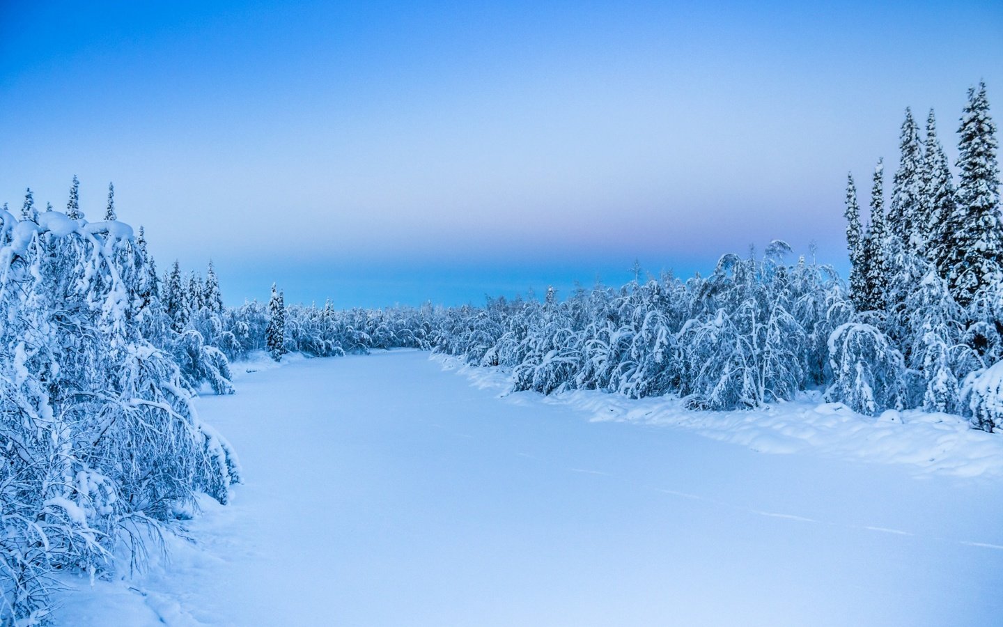 Обои деревья, снег, природа, лес, зима, trees, snow, nature, forest, winter разрешение 1920x1200 Загрузить