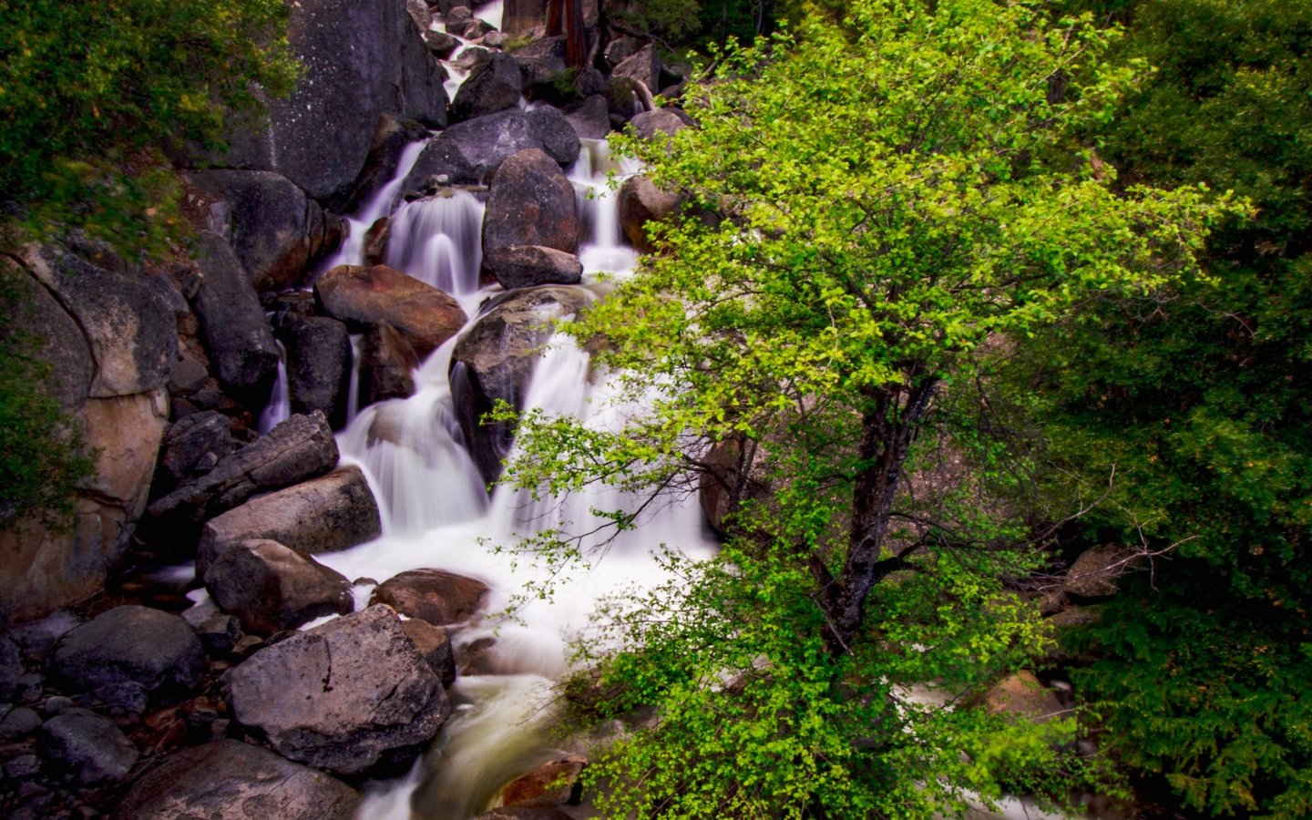 Обои дерево, камни, водопад, поток, ущелье, tree, stones, waterfall, stream, gorge разрешение 4000x2700 Загрузить