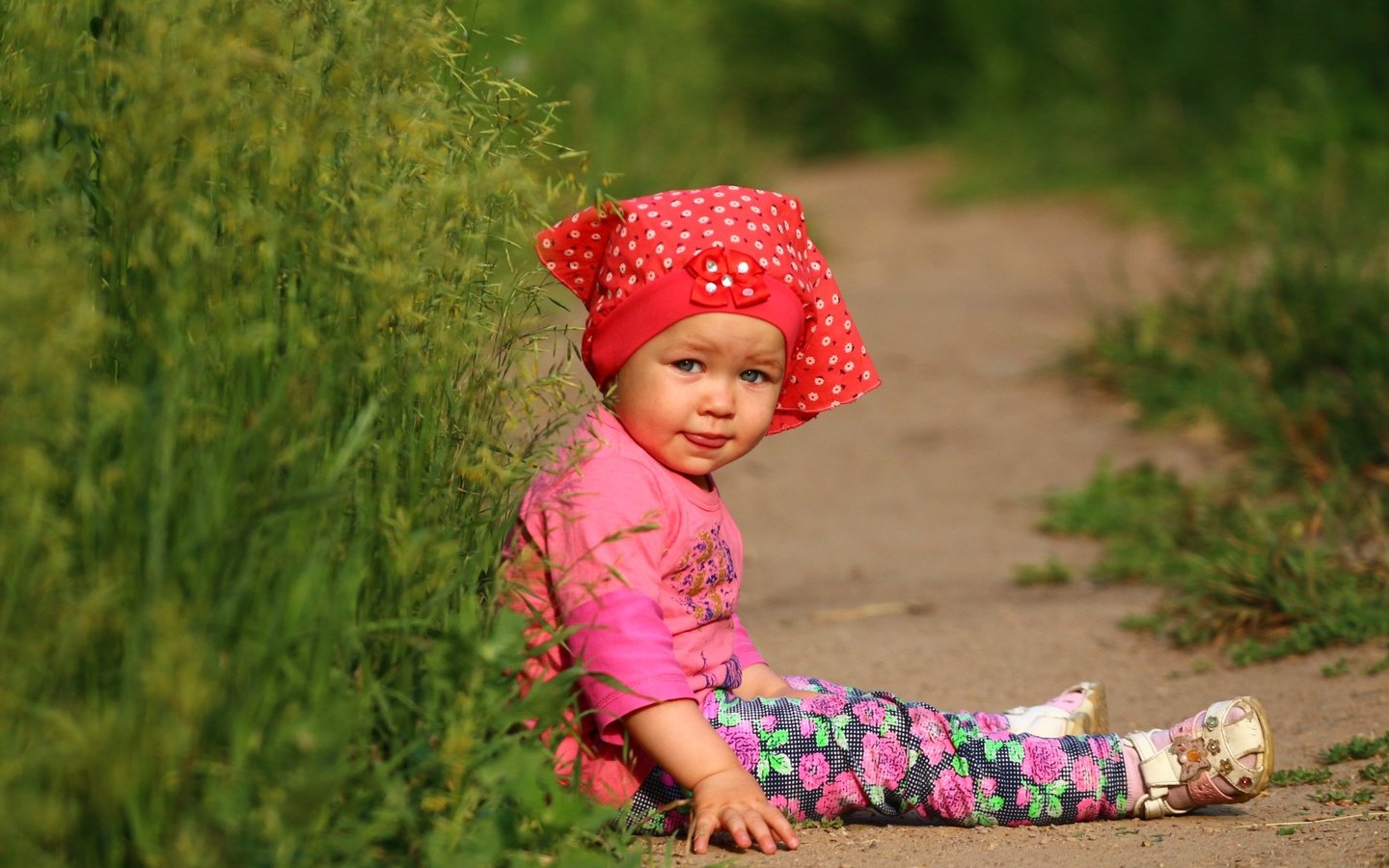 Обои трава, лето, взгляд, девочка, ребенок, малышка, grass, summer, look, girl, child, baby разрешение 1920x1280 Загрузить