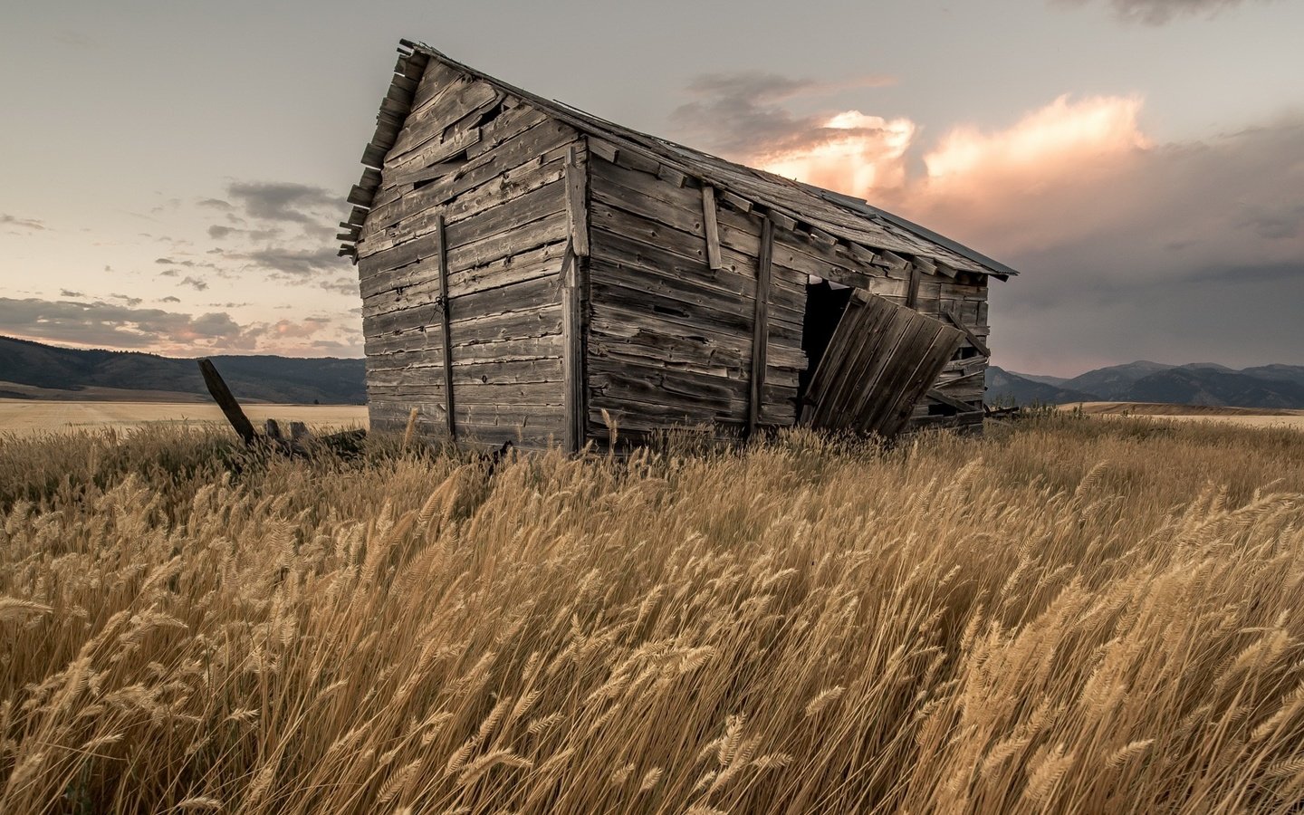 Обои небо, трава, облака, поле, дом, колоски, сарай, the sky, grass, clouds, field, house, spikelets, the barn разрешение 2010x1385 Загрузить