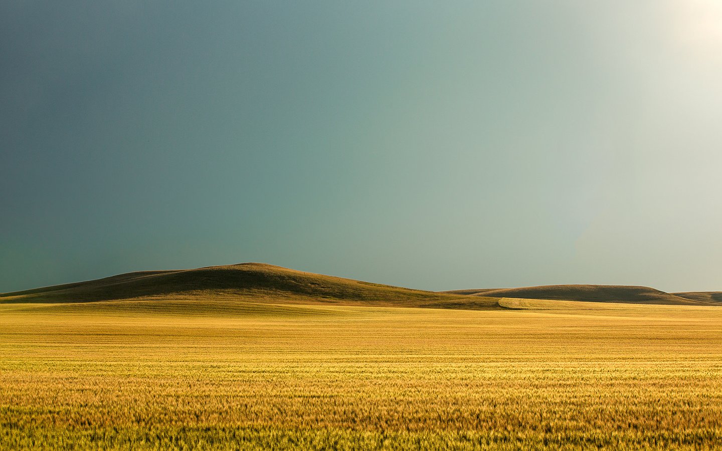 Обои небо, todd klassy, природа, поле, горизонт, сша, пшеница, холм, монтана, the sky, nature, field, horizon, usa, wheat, hill, montana разрешение 2048x1365 Загрузить