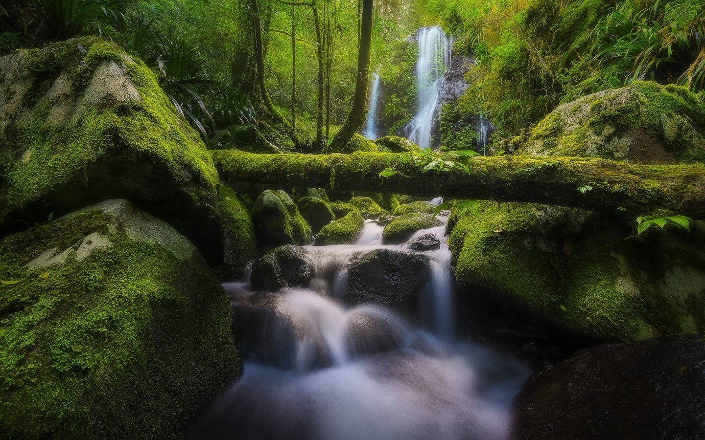 Обои река, бревно, природа, chalahn falls, elabana falls, камни, lamington national park, лес, ручей, водопад, мох, австралия, river, log, nature, stones, forest, stream, waterfall, moss, australia разрешение 1920x1200 Загрузить