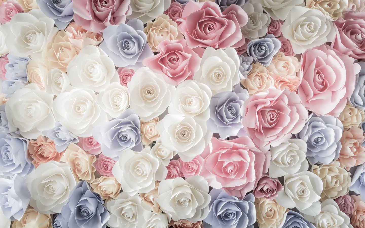 Обои цветы, бутоны, розы, лепестки, розовые, белые, голубые, flowers, buds, roses, petals, pink, white, blue разрешение 1920x1200 Загрузить
