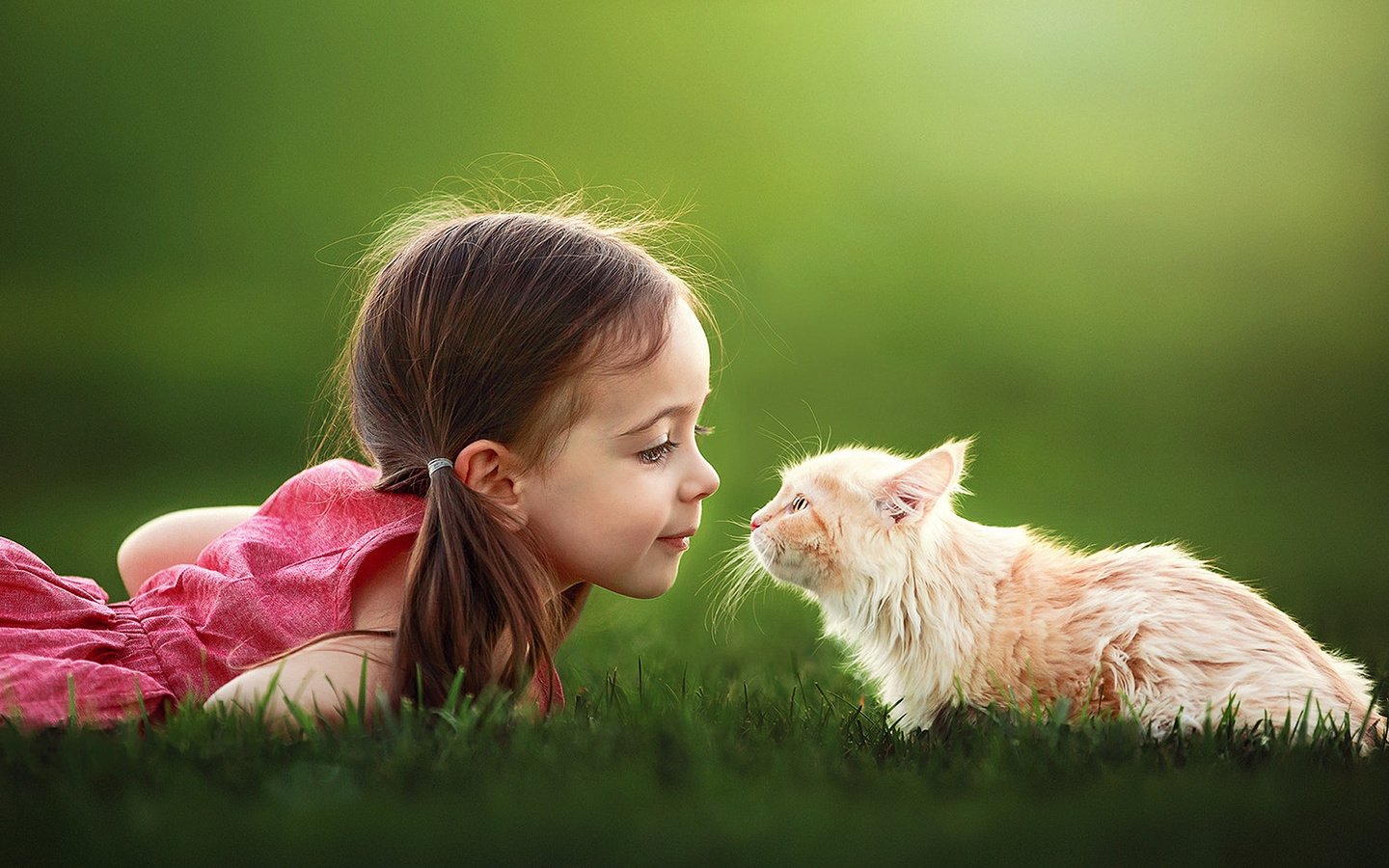 Обои трава, настроение, кот, кошка, девочка, ребенок, suzy mead, grass, mood, cat, girl, child разрешение 1920x1200 Загрузить