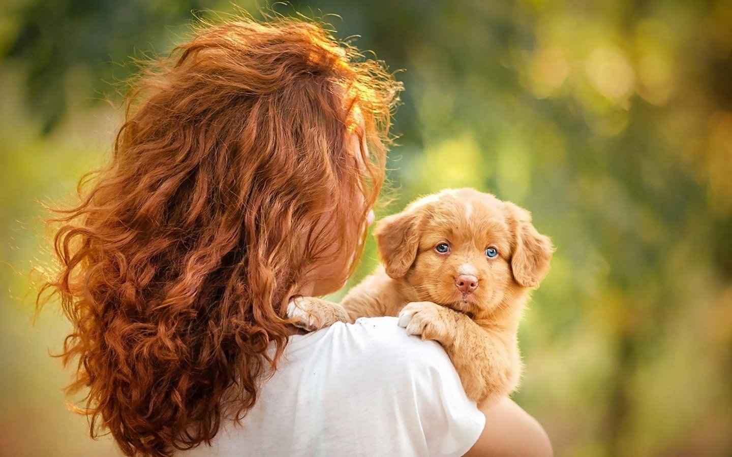 Обои девушка, настроение, собака, щенок, голубые глаза, рыжеволосая, girl, mood, dog, puppy, blue eyes, redhead разрешение 1920x1200 Загрузить