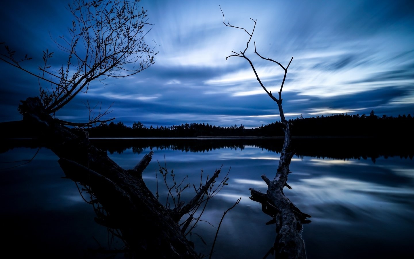 Обои ночь, деревья, озеро, отражение, night, trees, lake, reflection разрешение 2560x1707 Загрузить