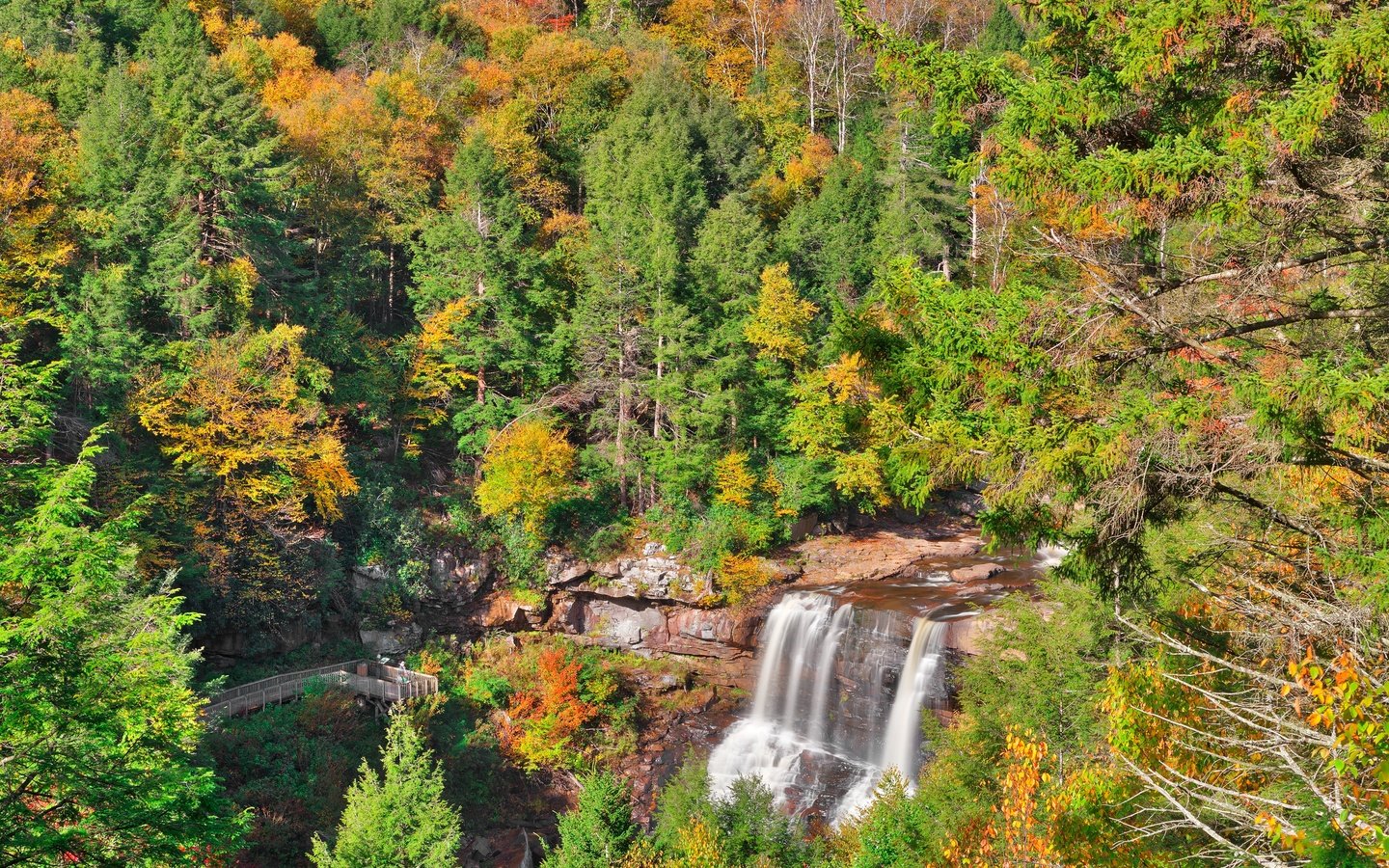 Обои деревья, лес, водопад, осень, trees, forest, waterfall, autumn разрешение 4000x2667 Загрузить