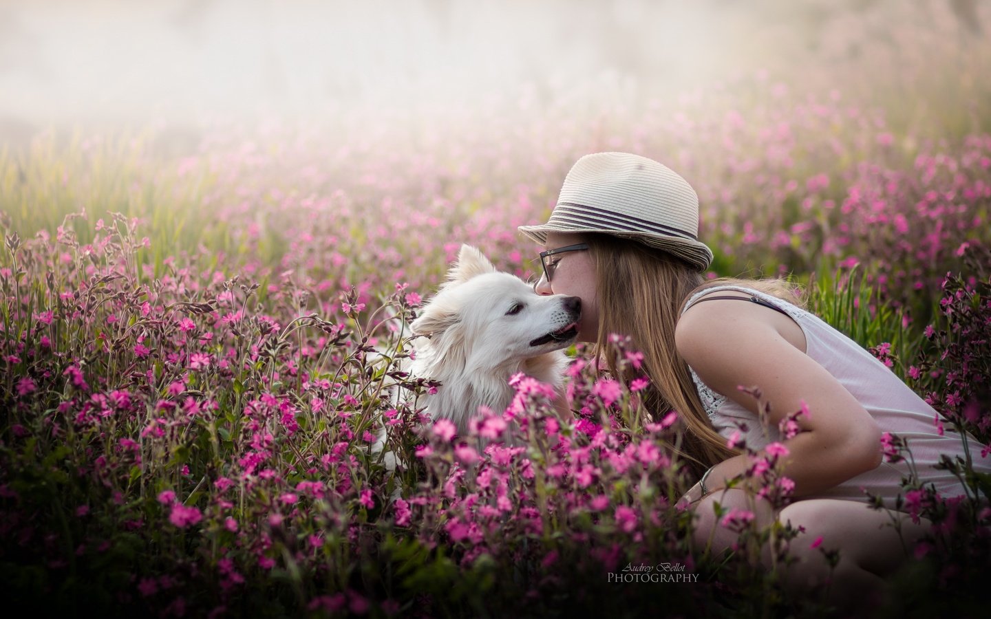 Обои цветы, девушка, собака, весна, flowers, girl, dog, spring разрешение 2560x1582 Загрузить