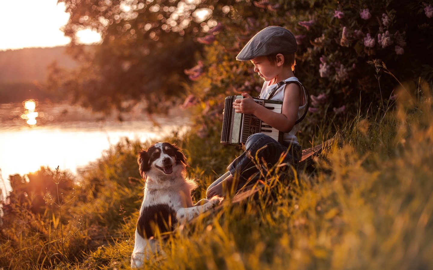 Обои река, собака, дети, ребенок, мальчик, друзья, кепка, аккордеон, river, dog, children, child, boy, friends, cap, accordion разрешение 4000x2521 Загрузить