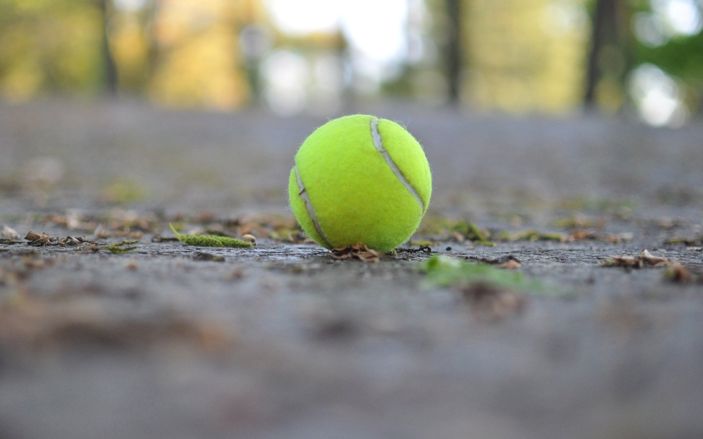 Обои макро, мяч, теннис, теннисный мяч, macro, the ball, tennis, tennis ball разрешение 2880x1800 Загрузить
