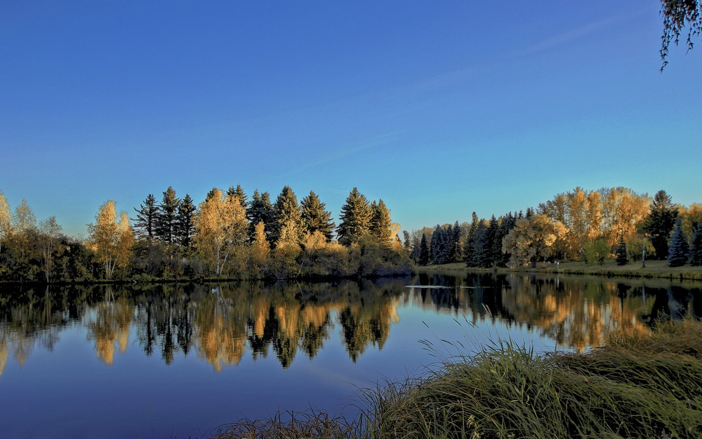 Обои небо, деревья, река, природа, лес, отражение, пейзаж, diego lapetina, the sky, trees, river, nature, forest, reflection, landscape разрешение 1920x1200 Загрузить