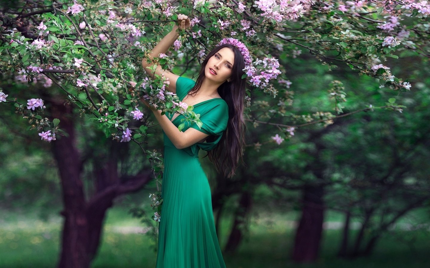 Обои дерево, цветение, платье, брюнетка, весна, венок, tree, flowering, dress, brunette, spring, wreath разрешение 1920x1080 Загрузить