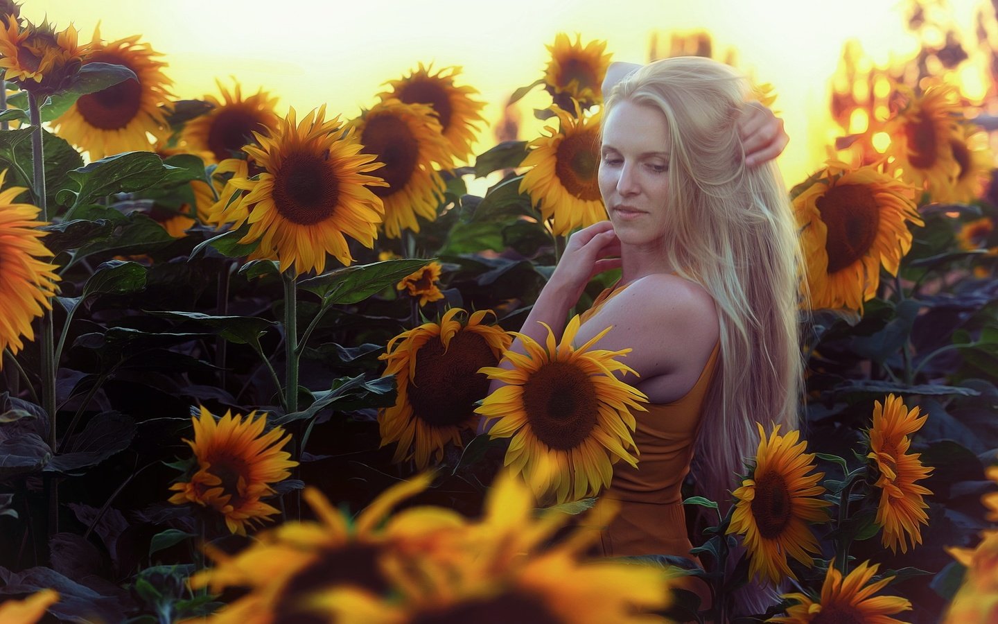 Обои цветы, девушка, блондинка, лето, подсолнухи, flowers, girl, blonde, summer, sunflowers разрешение 2048x1304 Загрузить