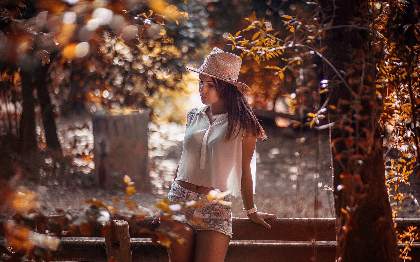 Обои деревья, девушка, осень, забор, блики, шляпа, шорты, trees, girl, autumn, the fence, glare, hat, shorts разрешение 2583x1722 Загрузить