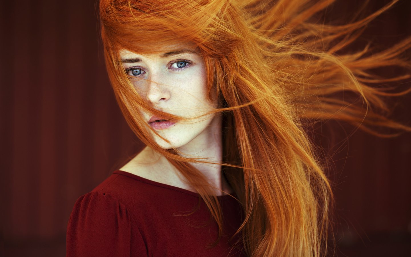 Обои девушка, взгляд, волосы, лицо, рыжеволосая, girl, look, hair, face, redhead разрешение 5616x3744 Загрузить