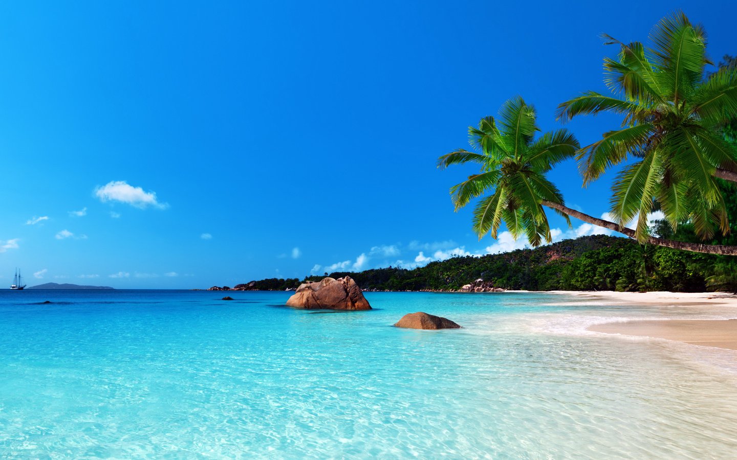 Обои море, пляж, тропики, 1, sea, beach, tropics разрешение 5156x2900 Загрузить