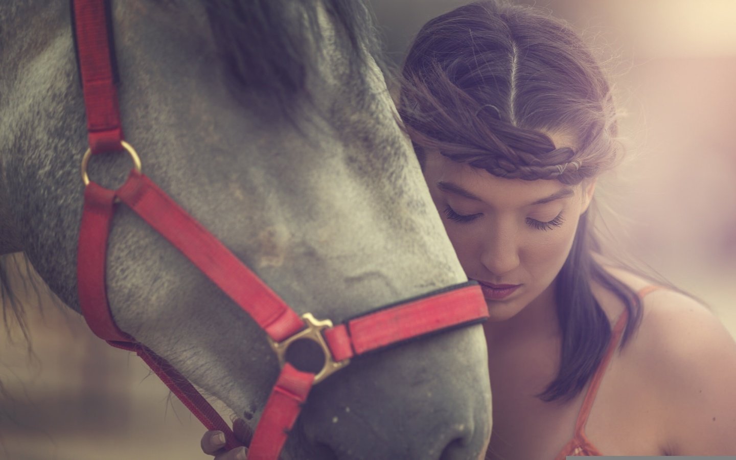 Обои морда, лошадь, девушка, настроение, портрет, модель, конь, arancha ari arevalo, face, horse, girl, mood, portrait, model разрешение 2048x1227 Загрузить
