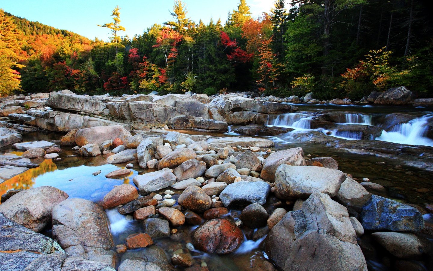 Обои деревья, река, камни, лес, осень, поток, булыжники, trees, river, stones, forest, autumn, stream разрешение 4997x3339 Загрузить