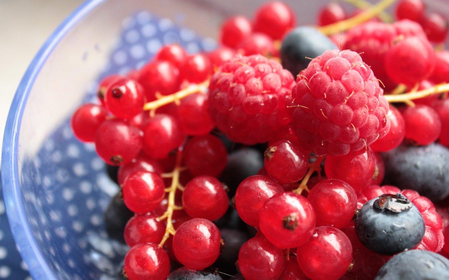 Обои малина, ягоды, черника, красная смородина, смородина, raspberry, berries, blueberries, red currant, currants разрешение 4272x2848 Загрузить