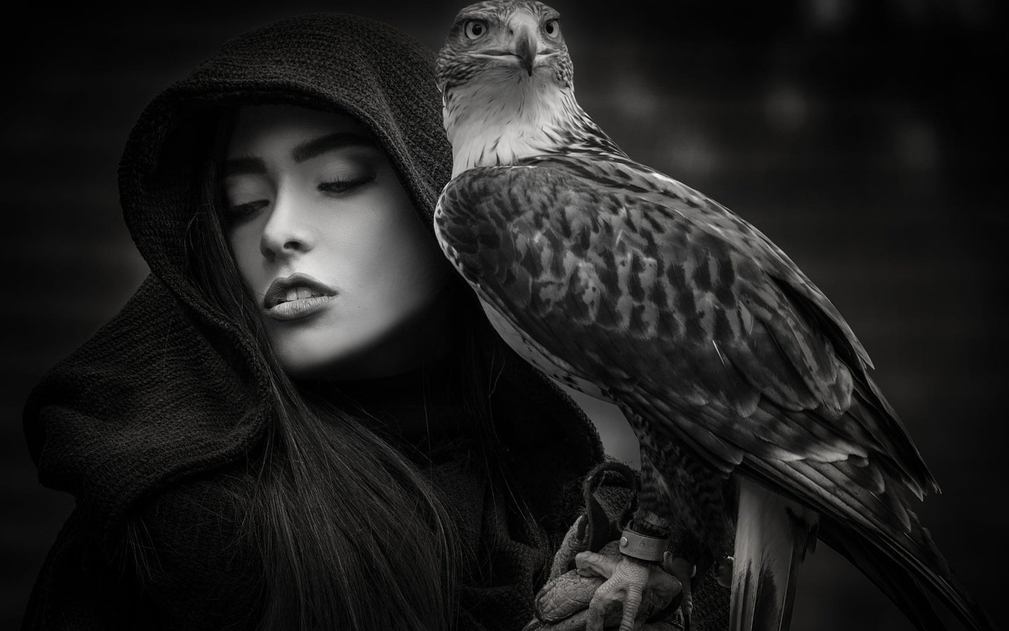 Обои девушка, портрет, чёрно-белое, модель, птица, лицо, joachim bergauer, girl, portrait, black and white, model, bird, face разрешение 2000x1554 Загрузить