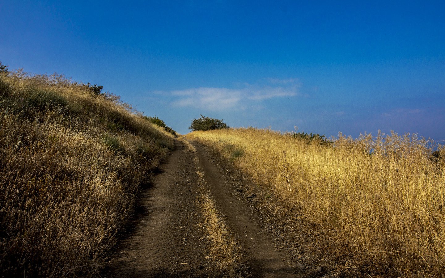 Обои дорога, трава, холмы, голубое небо, leonid len, road, grass, hills, blue sky разрешение 2184x1456 Загрузить