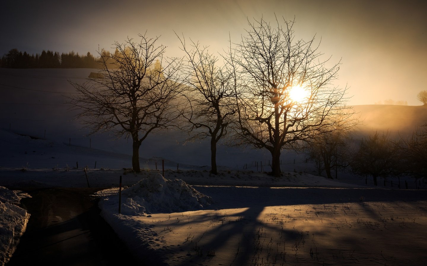 Обои свет, деревья, зима, утро, light, trees, winter, morning разрешение 2048x1365 Загрузить